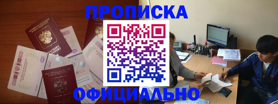 прописка поиск в Нововоронеже
